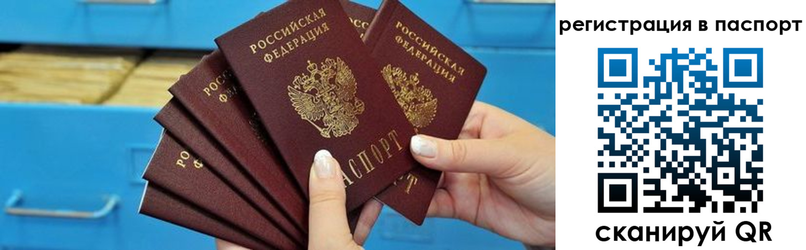 регистрация в Апатитах